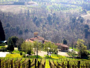 Florenz Urlaub: Sicht von der Ferienwohnung Loggia aus auf den Weinberg