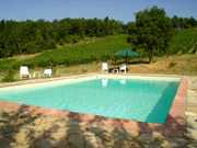 Piscina dell'Agriturismo Podere Vignola