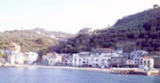 The beach 